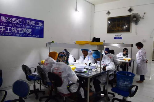 福利已備好！南寧人想不到的年味，都藏在這份晶瑩剔透之中